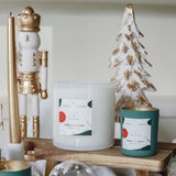 golden pumpkint cam mum